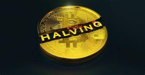 halving bitcoin ne demek